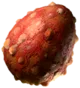 Grole Egg item icon